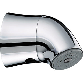 Vandal Resistant Exp Showerhead